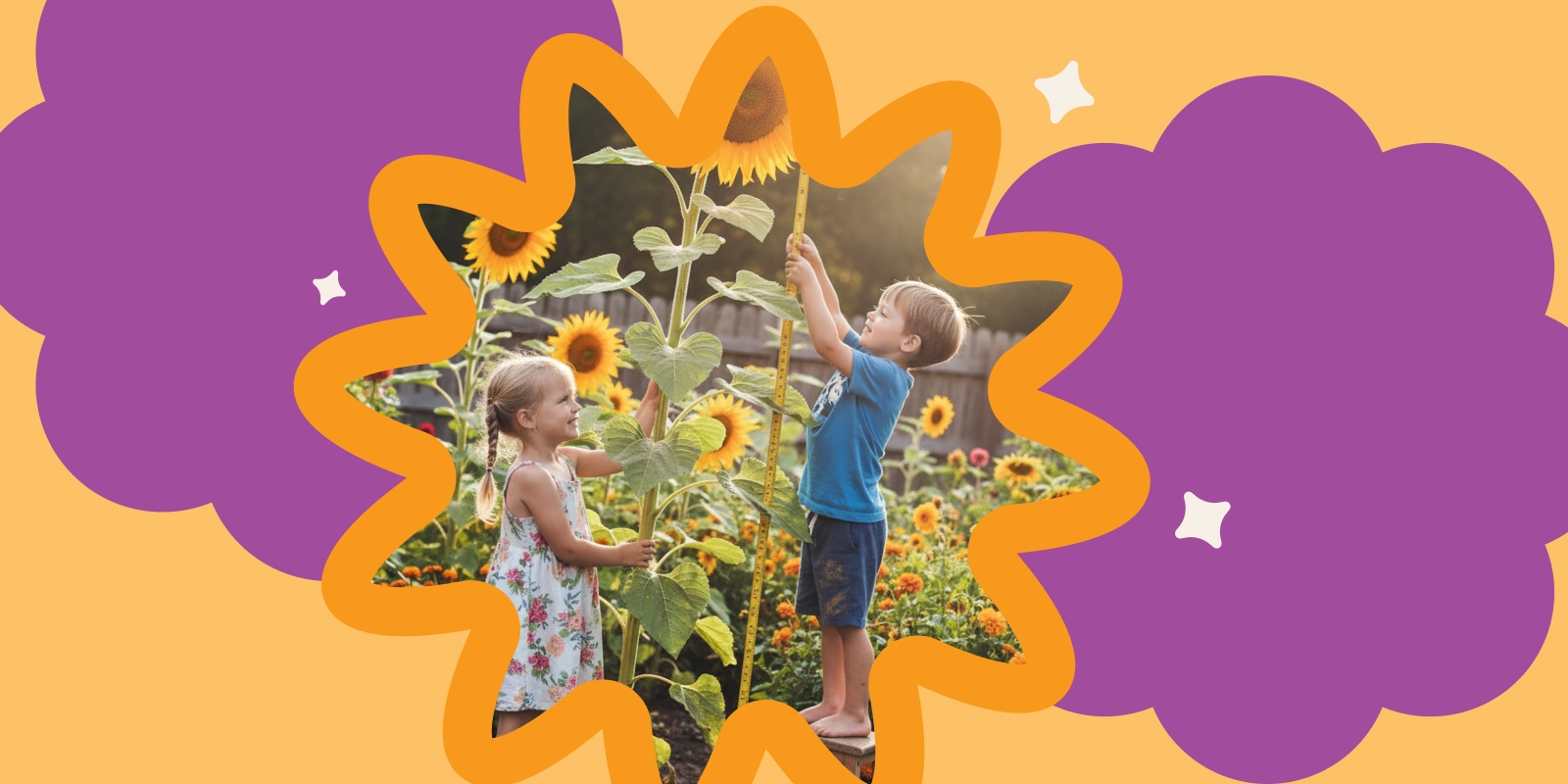 Bambini che misurano l'altezza dei loro girasoli nel giardino con un metro a nastro