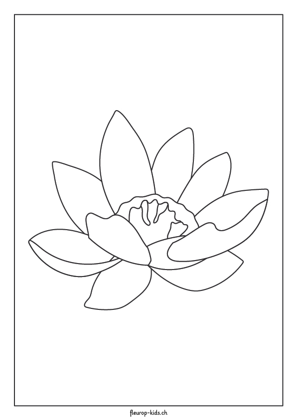 Loto