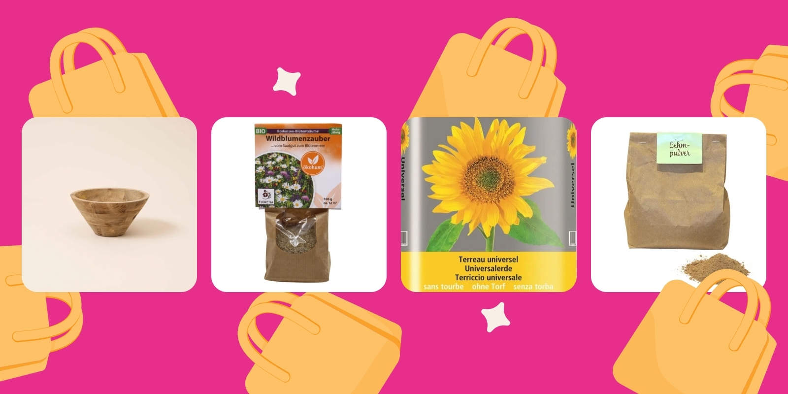 FleuropKIDS Set Creare palline di semi